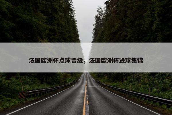 法国欧洲杯点球晋级，法国欧洲杯进球集锦