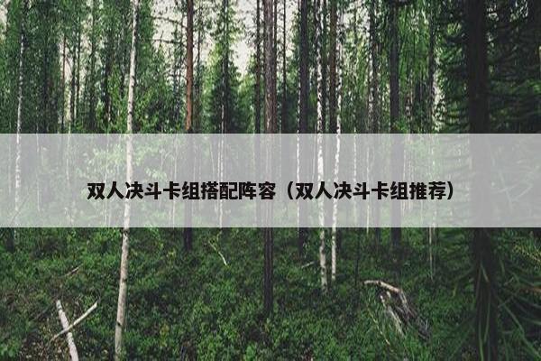 双人决斗卡组搭配阵容（双人决斗卡组推荐）
