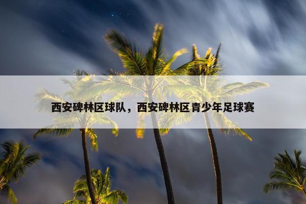 西安碑林区球队，西安碑林区青少年足球赛