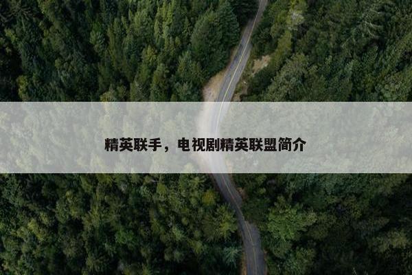 精英联手，电视剧精英联盟简介