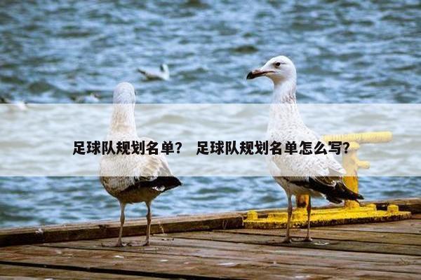 足球队规划名单？ 足球队规划名单怎么写？