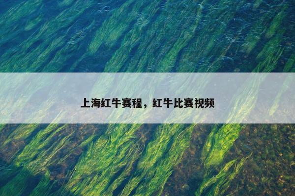 上海红牛赛程，红牛比赛视频