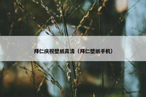 拜仁庆祝壁纸高清（拜仁壁纸手机）