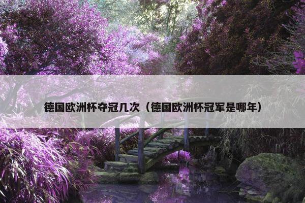 德国欧洲杯夺冠几次（德国欧洲杯冠军是哪年）