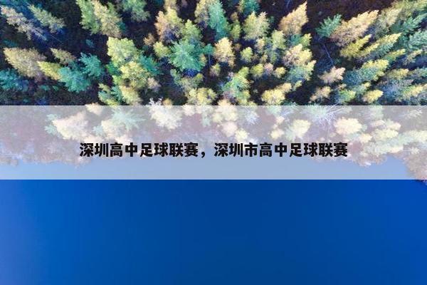 深圳高中足球联赛，深圳市高中足球联赛