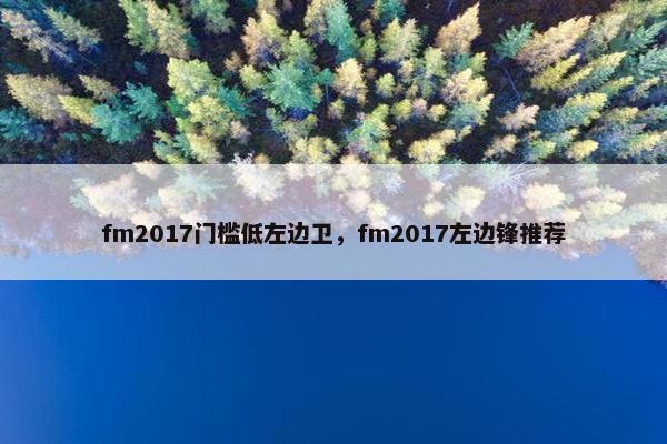 fm2017门槛低左边卫，fm2017左边锋推荐