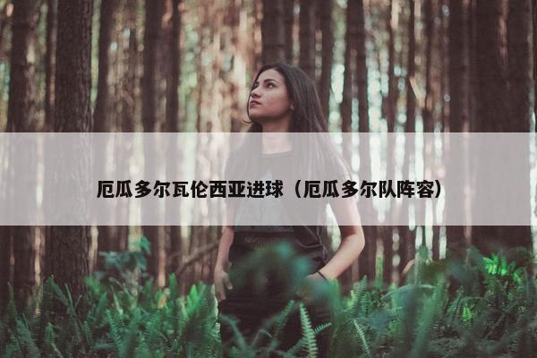 厄瓜多尔瓦伦西亚进球（厄瓜多尔队阵容）