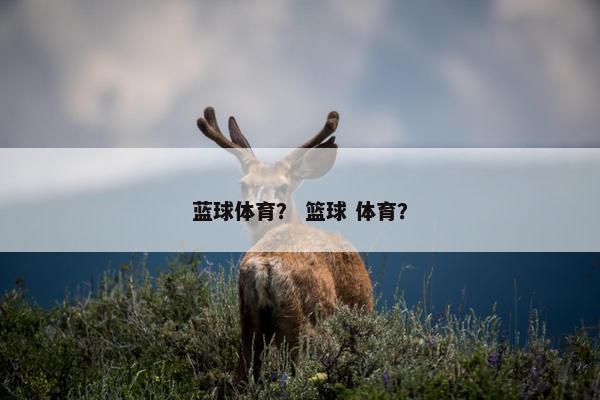 蓝球体育？ 篮球 体育？