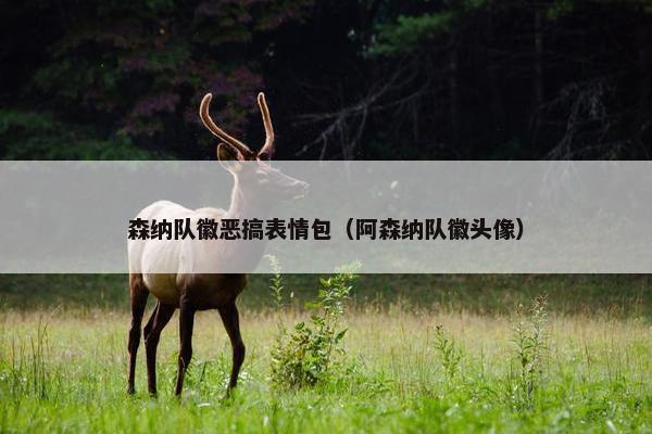 森纳队徽恶搞表情包（阿森纳队徽头像）