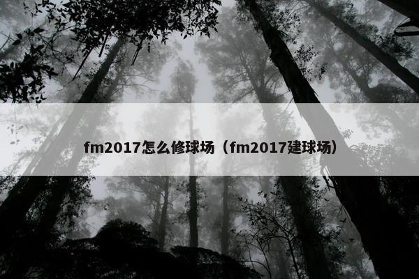 fm2017怎么修球场（fm2017建球场）
