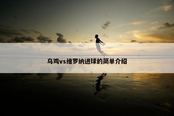 乌鸡vs维罗纳进球的简单介绍
