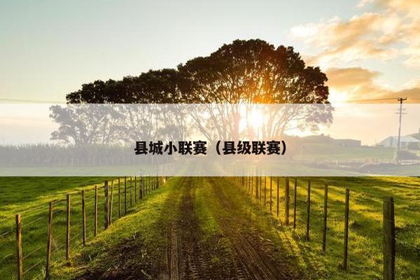 县城小联赛（县级联赛）