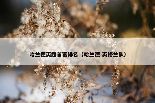 哈兰德英超首富排名（哈兰德 英格兰队）