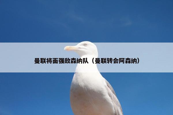 曼联将面强敌森纳队（曼联转会阿森纳）
