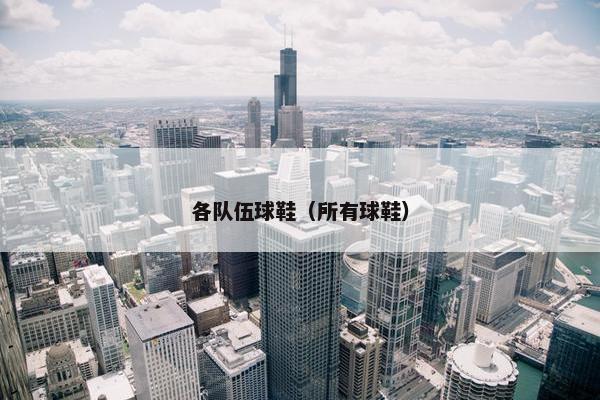 各队伍球鞋（所有球鞋）