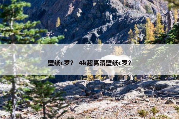 壁纸c罗？ 4k超高清壁纸c罗？