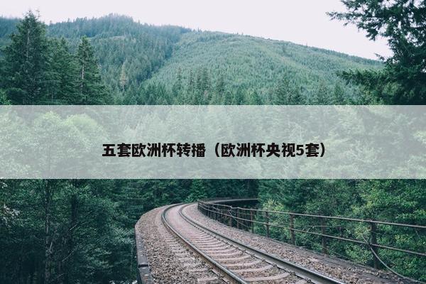 五套欧洲杯转播（欧洲杯央视5套）