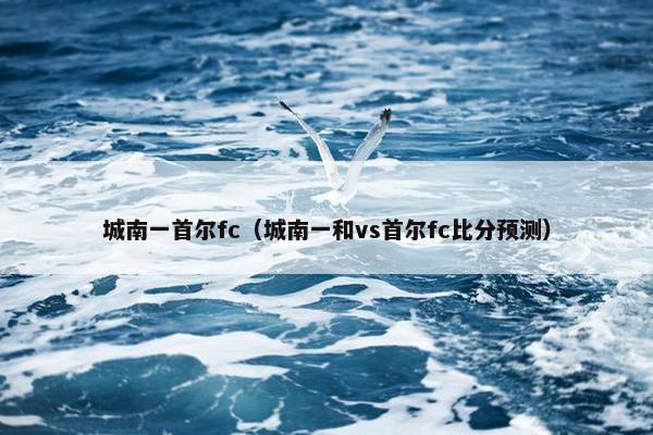 城南一首尔fc（城南一和vs首尔fc比分预测）