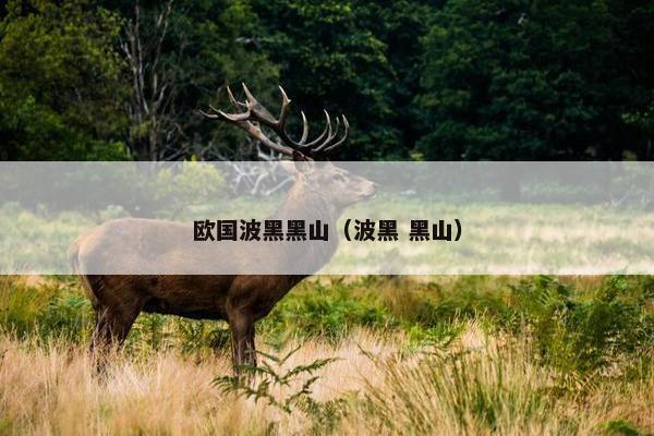欧国波黑黑山（波黑 黑山）