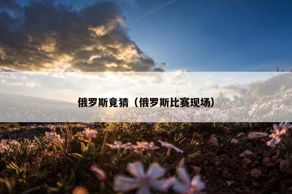 俄罗斯竟猜（俄罗斯比赛现场）