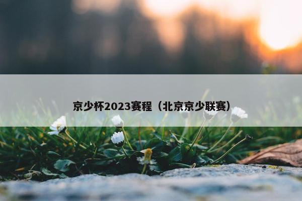 京少杯2023赛程（北京京少联赛）