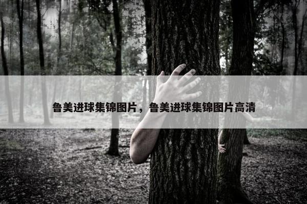鲁美进球集锦图片，鲁美进球集锦图片高清