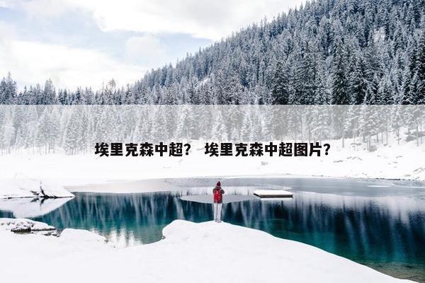 埃里克森中超？ 埃里克森中超图片？