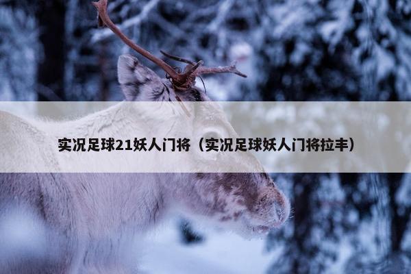 实况足球21妖人门将（实况足球妖人门将拉丰）