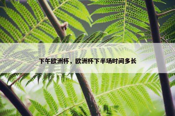 下午欧洲杯，欧洲杯下半场时间多长