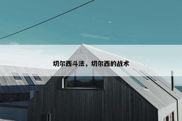 切尔西斗法，切尔西的战术
