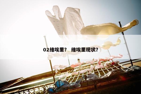 02维埃里？ 维埃里现状？