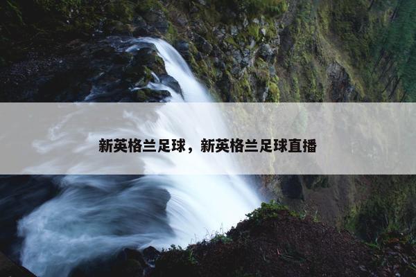 新英格兰足球，新英格兰足球直播
