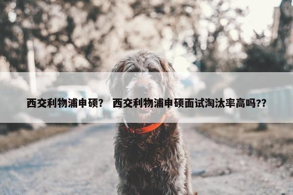 西交利物浦申硕？ 西交利物浦申硕面试淘汰率高吗?？