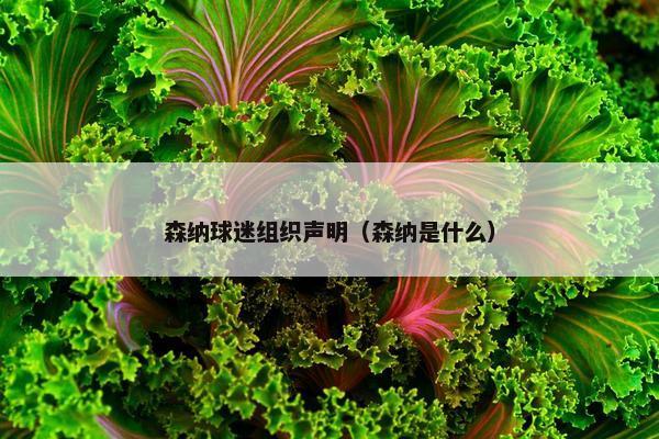 森纳球迷组织声明（森纳是什么）