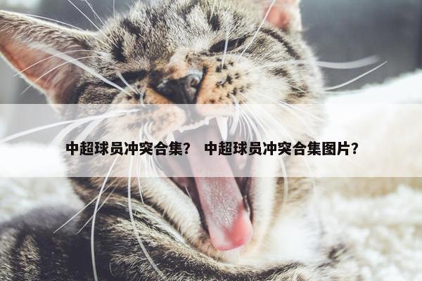 中超球员冲突合集？ 中超球员冲突合集图片？