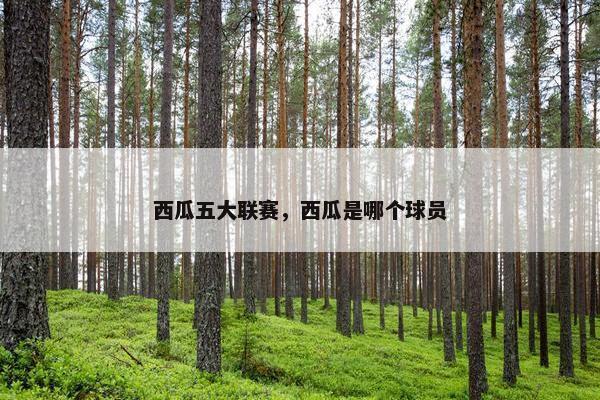 西瓜五大联赛，西瓜是哪个球员
