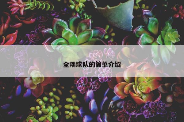全隅球队的简单介绍