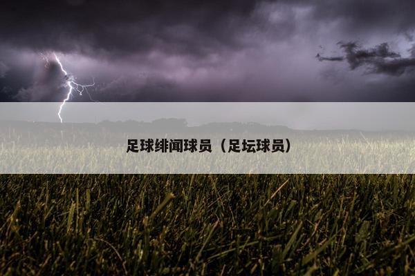 足球绯闻球员（足坛球员）