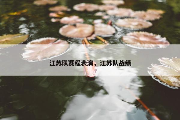 江苏队赛程表演，江苏队战绩