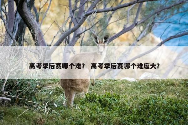 高考季后赛哪个难？ 高考季后赛哪个难度大？