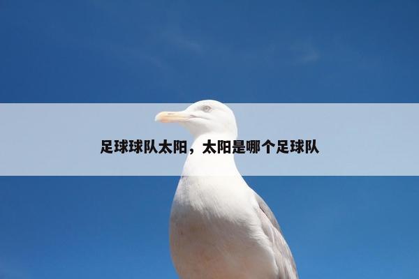 足球球队太阳，太阳是哪个足球队