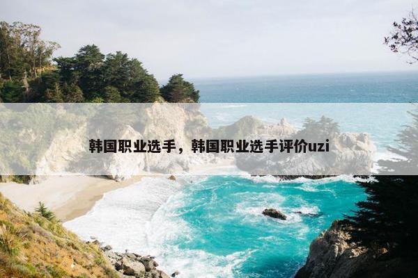 韩国职业选手，韩国职业选手评价uzi