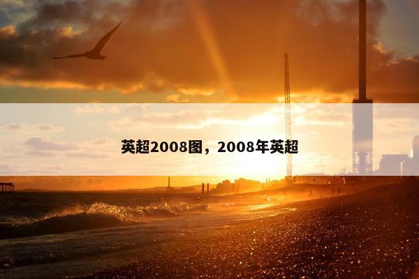 英超2008图，2008年英超