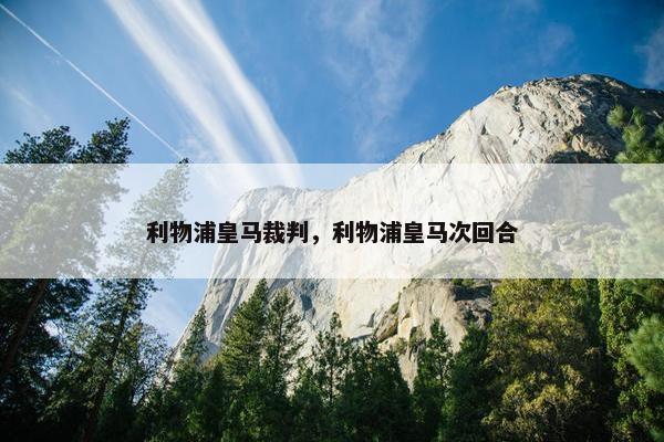 利物浦皇马裁判，利物浦皇马次回合