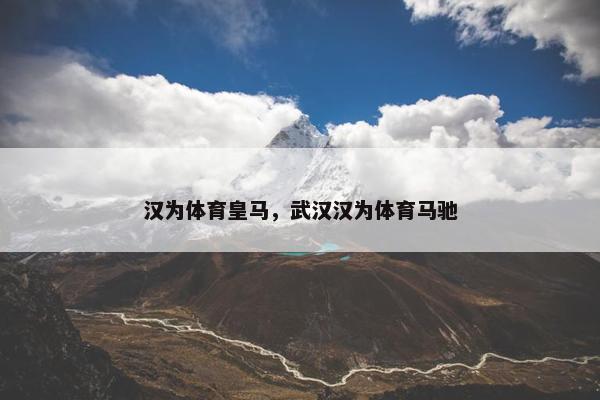 汉为体育皇马，武汉汉为体育马驰