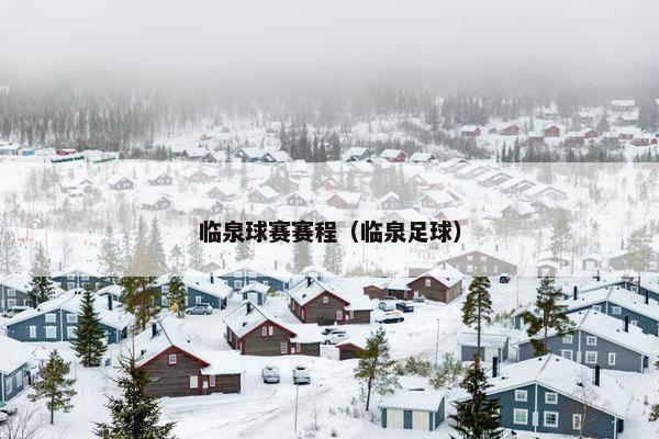 临泉球赛赛程（临泉足球）