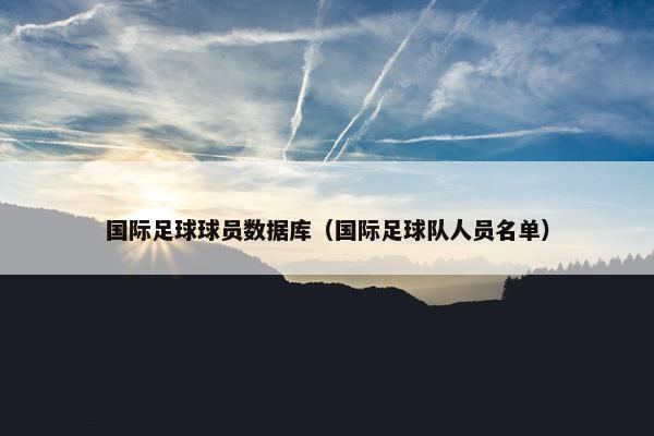 国际足球球员数据库（国际足球队人员名单）
