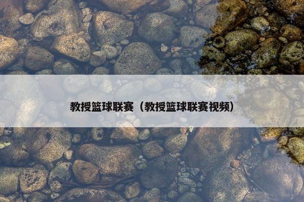 教授篮球联赛（教授篮球联赛视频）