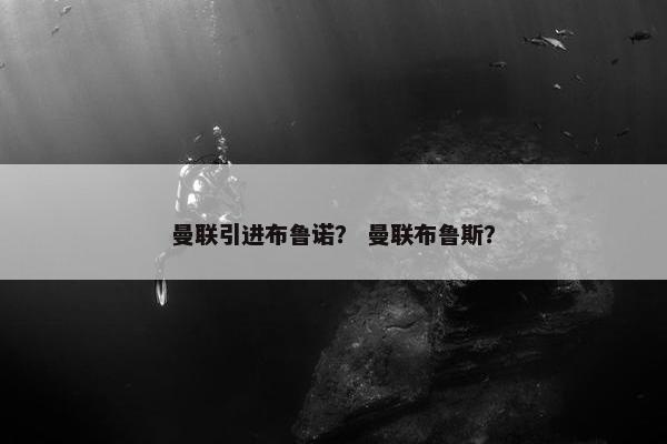 曼联引进布鲁诺？ 曼联布鲁斯？