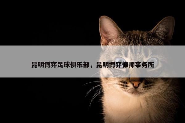 昆明博弈足球俱乐部，昆明博弈律师事务所